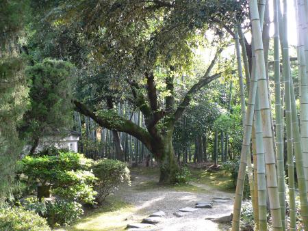 1er mai : f&ecirc;te du travail !